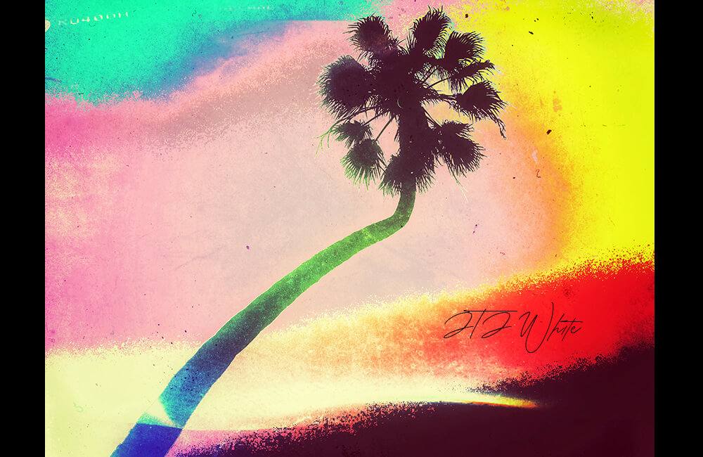 Artwork by JTJ White titled titled as 'Neopalmitan'